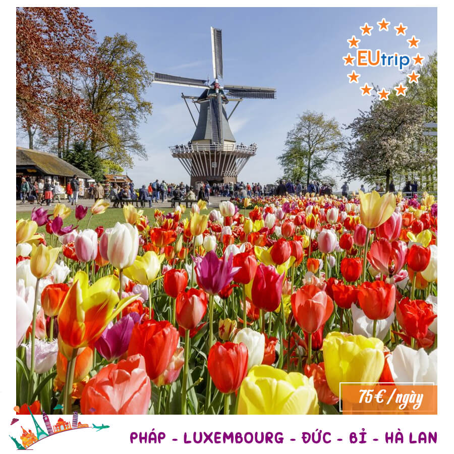 Tour mùa hoa Tuylip: PHÁP – LUXEMBOURG – ĐỨC – BỈ – HÀ LAN 7N6Đ