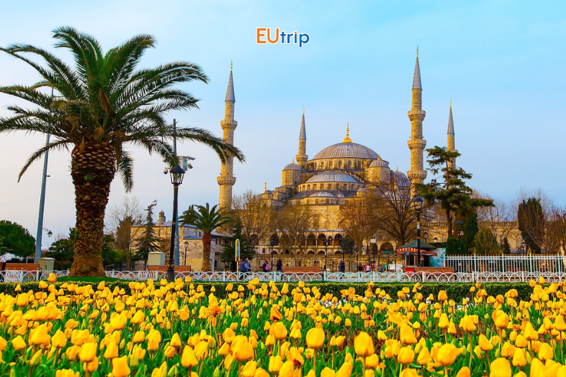 LỄ HỘI HOA TULIP TẠI ISTANBUL – BẢN GIAO HƯỞNG MÙA XUÂN RỰC RỠ NHẤT THỔ NHĨ KỲ 