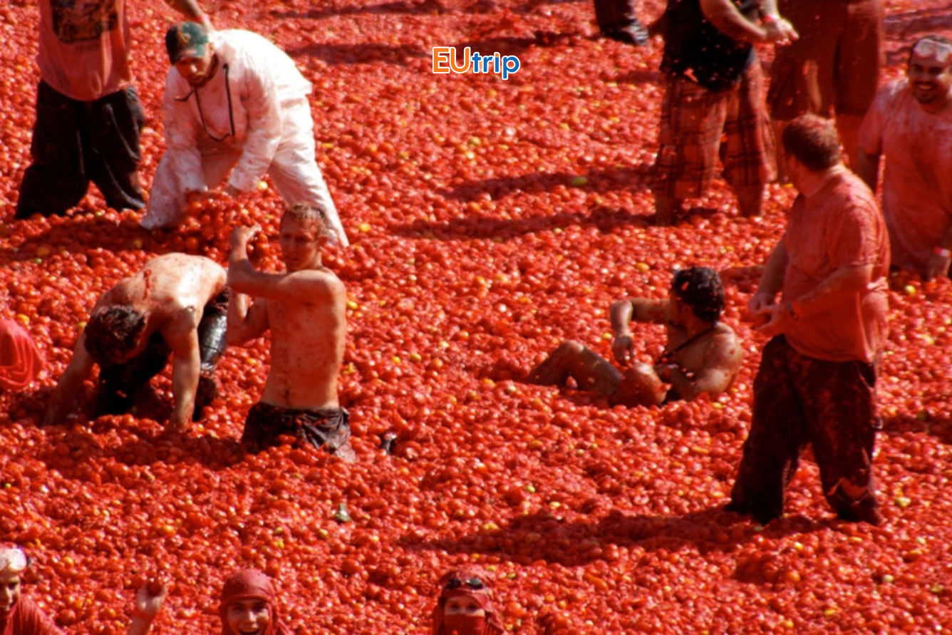 lễ hội cà chua Tây Ban Nha