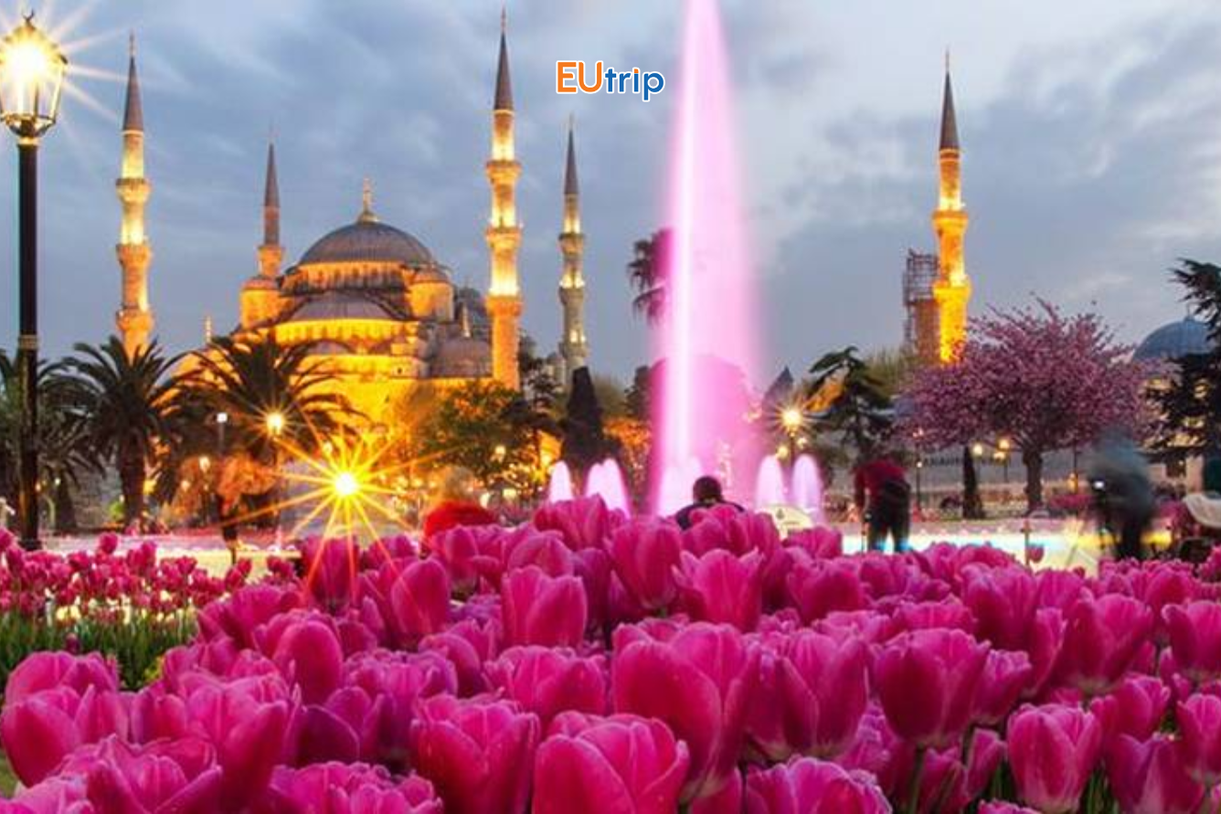 lễ hội hoa Tulip tại Istanbul
