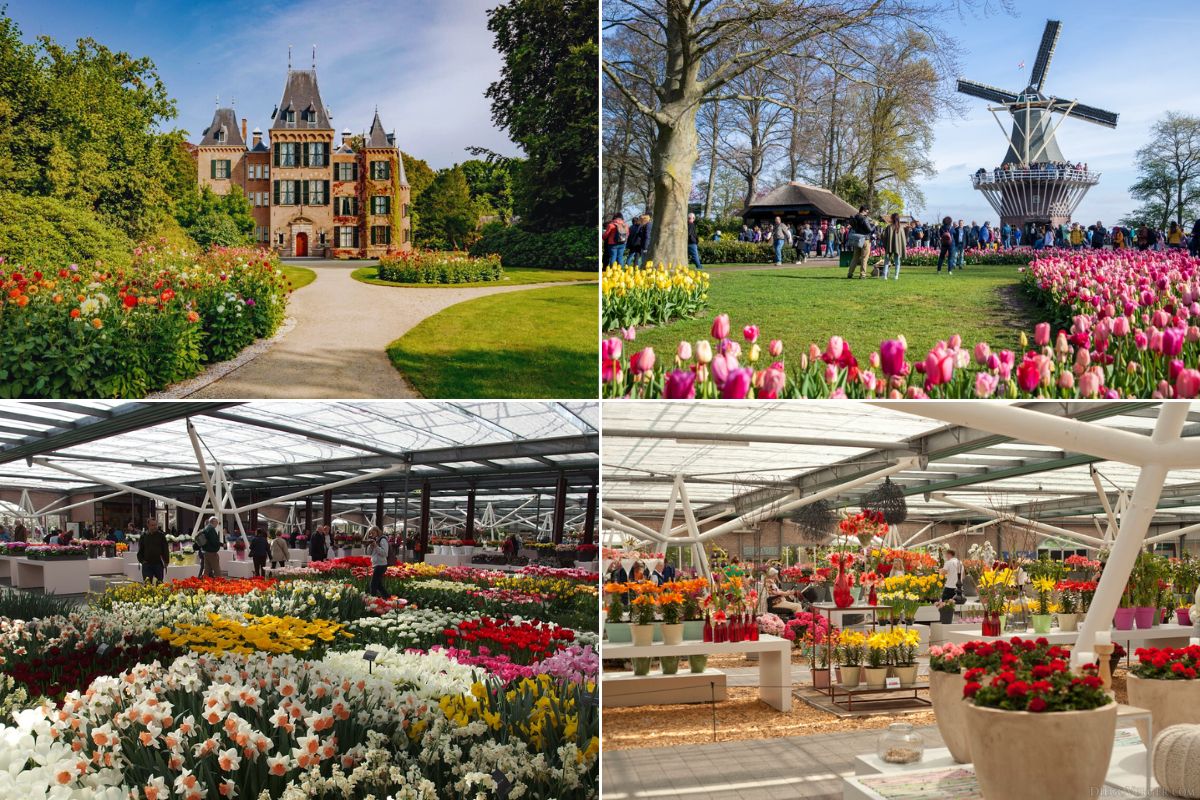 công viên hoa keukenhhof