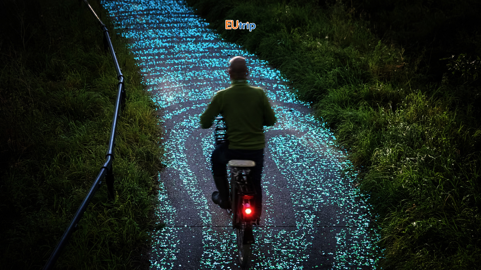 Đường xe đạp Van Gogh–Roosegaarde