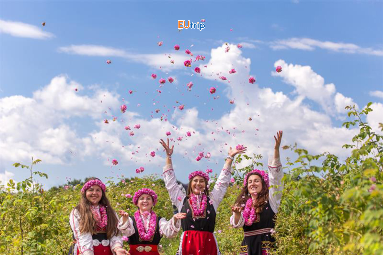 KHÁM PHÁ MÙA HOA HỒNG THỔ NHĨ KỲ – BÍ MẬT SẮC HỒNG CHỈ NỞ RỰC RỠ 4 TUẦN TRONG NĂM