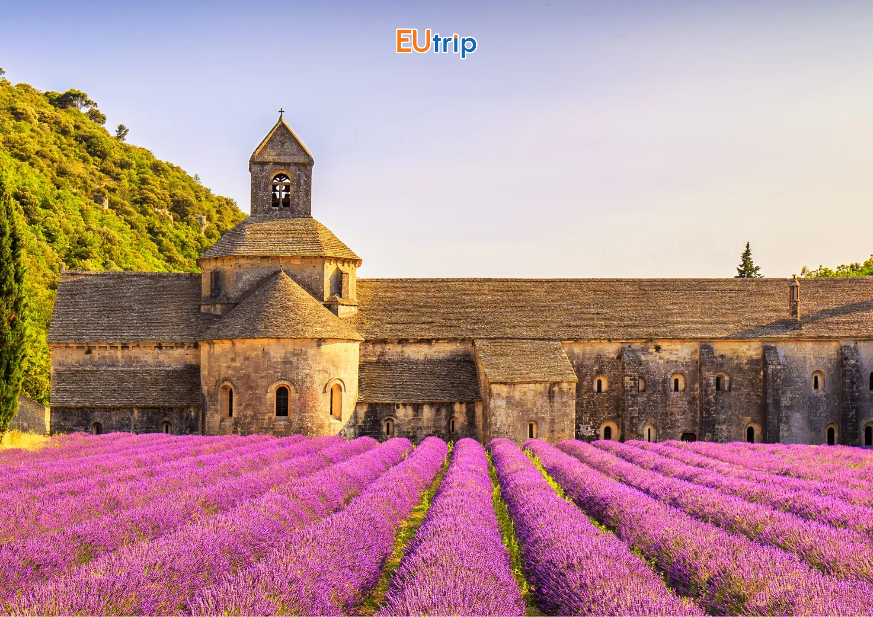 Tu viện Abbaye de Sénanque