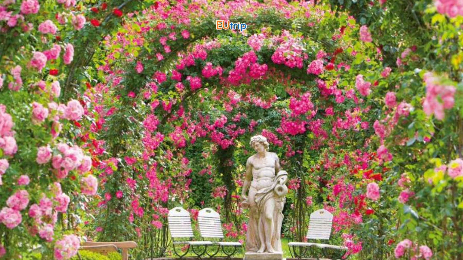 Bern Vườn Hồng (Rose Garden)